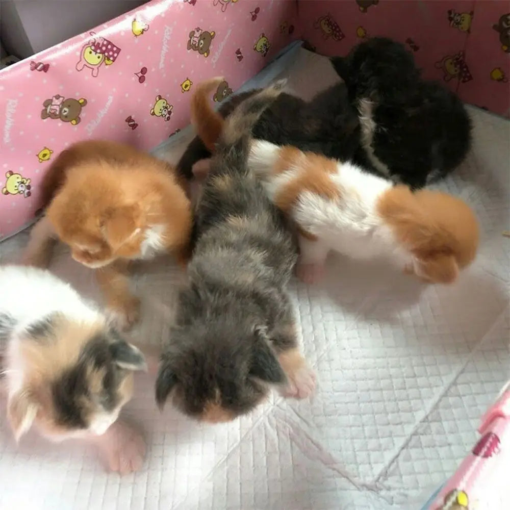 Disposable Indoor Small Toilet Pets Puppy 20 Pieces Dog Absorbent Diapers Mat Pee Pads