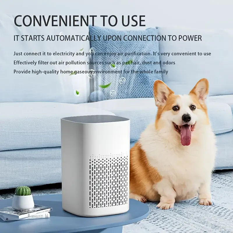 Small Air Purifier -Improve Air Quality - Special for Small Spaces