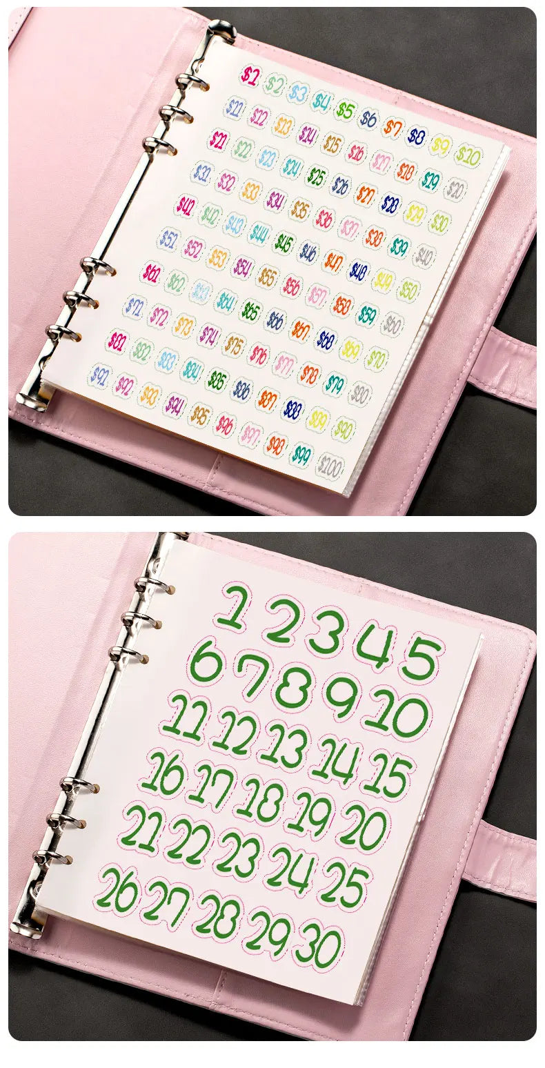 100 Envelope Cash Savings Challenge, Saving Challenge Envelop Book, Budget Envelope Financial Assistant, A5 Size Cash Binder