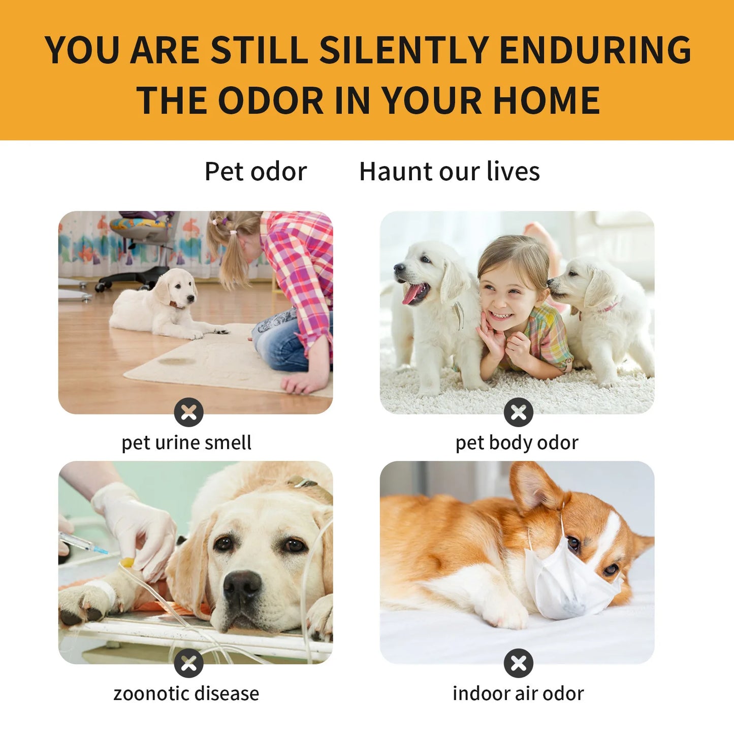 Pet Deodorant Spray Remove Body Odor Smelly Deodorizer Natural Fresh Scent Eliminate Urine Smell Air Fresh Dog Deodorizer Liquid