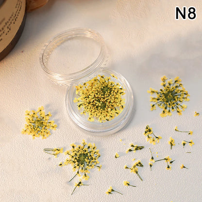 1 Box Nail Art Flower Decoration Delicate Dried Flower Nail Art Decorations Exquisite Nail Art Beauty For Charms Accessories
