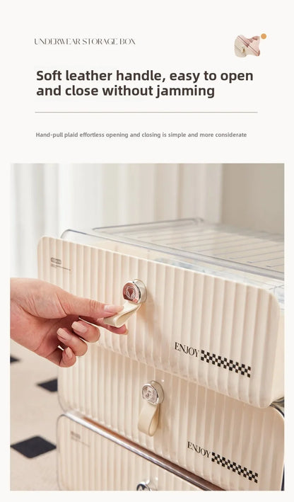 Organizer For Underwear Socks Bra Pants Scarf Tie Storage Box Wardrobe Drawer Organizers Foldable Case For Underwear Organizer