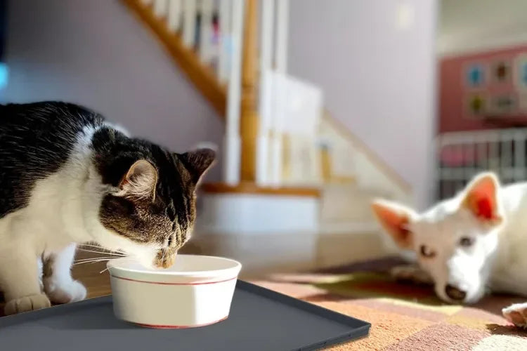 Silicone Pet Meal Mat Pet Waterproof and Anti Slip Cat Food Mat No Cleaning Required Puppy Feeding Bowl Mat Pet Accessories