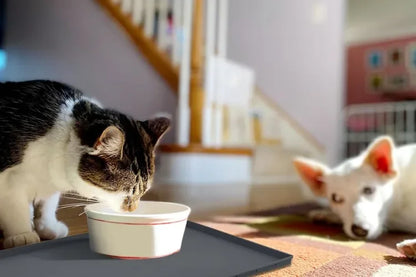 Silicone Pet Meal Mat Pet Waterproof and Anti Slip Cat Food Mat No Cleaning Required Puppy Feeding Bowl Mat Pet Accessories