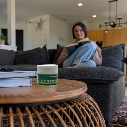 Solid Perfume Air Freshener For Car Bathroom Pet Shop Decoration Home Cleaning Air Purification Deodorization Antibacterial