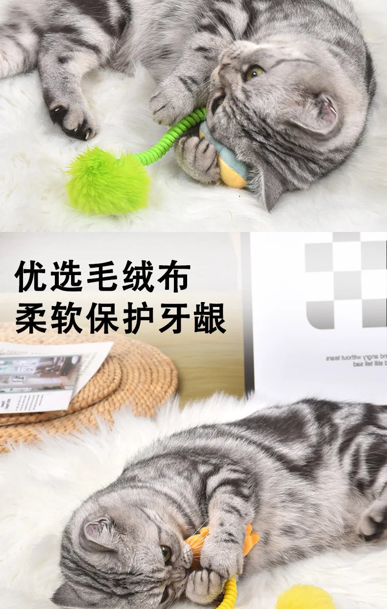 Interactive cat toy, fruit, spring, crocodile, Tiger, avocado, to relieve boredom toy