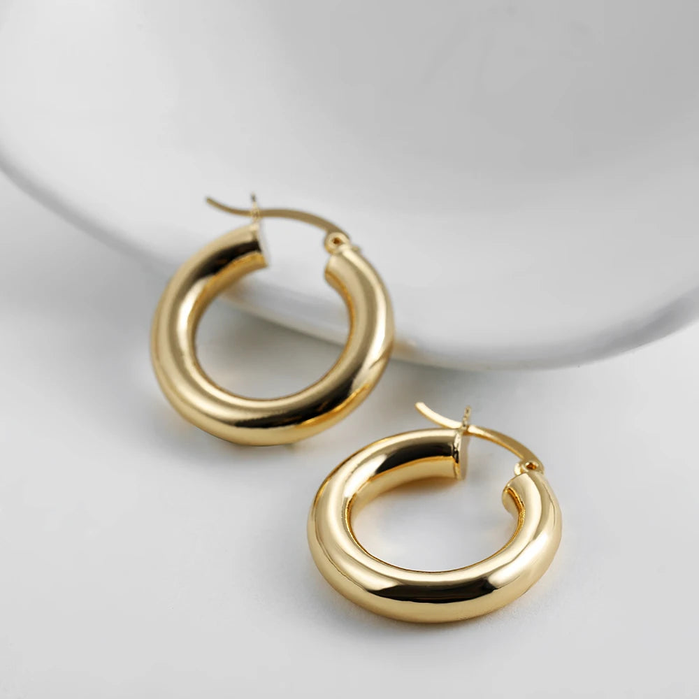 Punk Gold plated Chunky Irregular Hammered Hoop Earrings for Women Minimalist Geometric Twisted Polished Ear Ring Huggie Hoops