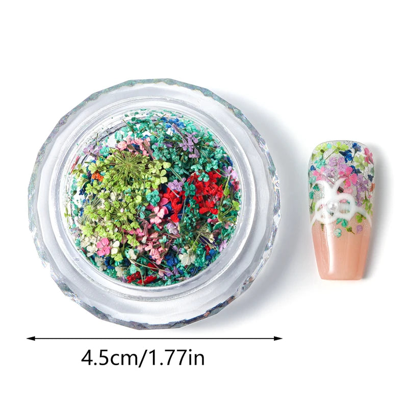 1 Box Nail Art Flower Decoration Delicate Dried Flower Nail Art Decorations Exquisite Nail Art Beauty For Charms Accessories