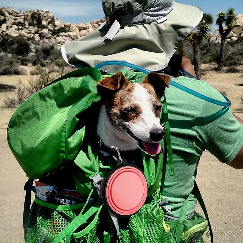 1PC Collapsible Portable Water Bowl for Dogs, 350ML/1000ML, Dish for Traveling Camping Walking