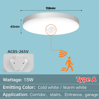 Led Ceiling Lamp With Motion Sensor 40W 30W 20W 18W 15W 12W Led Ceiling Light Fixtures For Entrance Balcony Corridor 110V 220V
