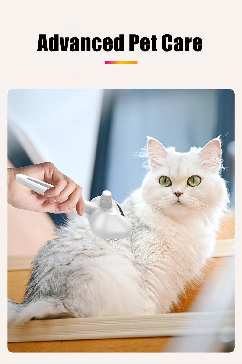 Type-c Rechargeable Pet Spray Disinfection Self-cleaning Comb Pet Massage Comb Steam Brush for Hair Care