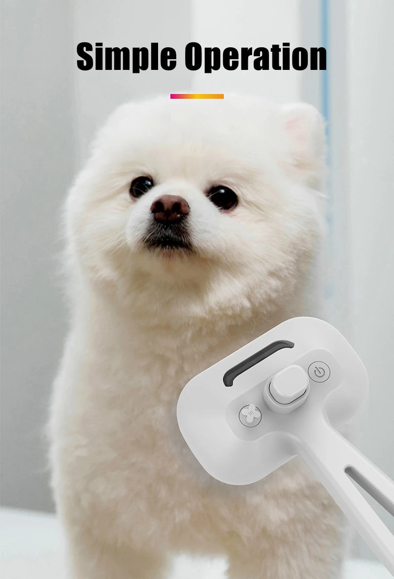 Type-c Rechargeable Pet Spray Disinfection Self-cleaning Comb Pet Massage Comb Steam Brush for Hair Care