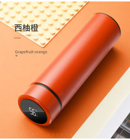 2024 New Temperature Display Thermos Keeps Cold And Heat Thermal Bottle Stainless Steel Thermos For Baby Children Kids Terms