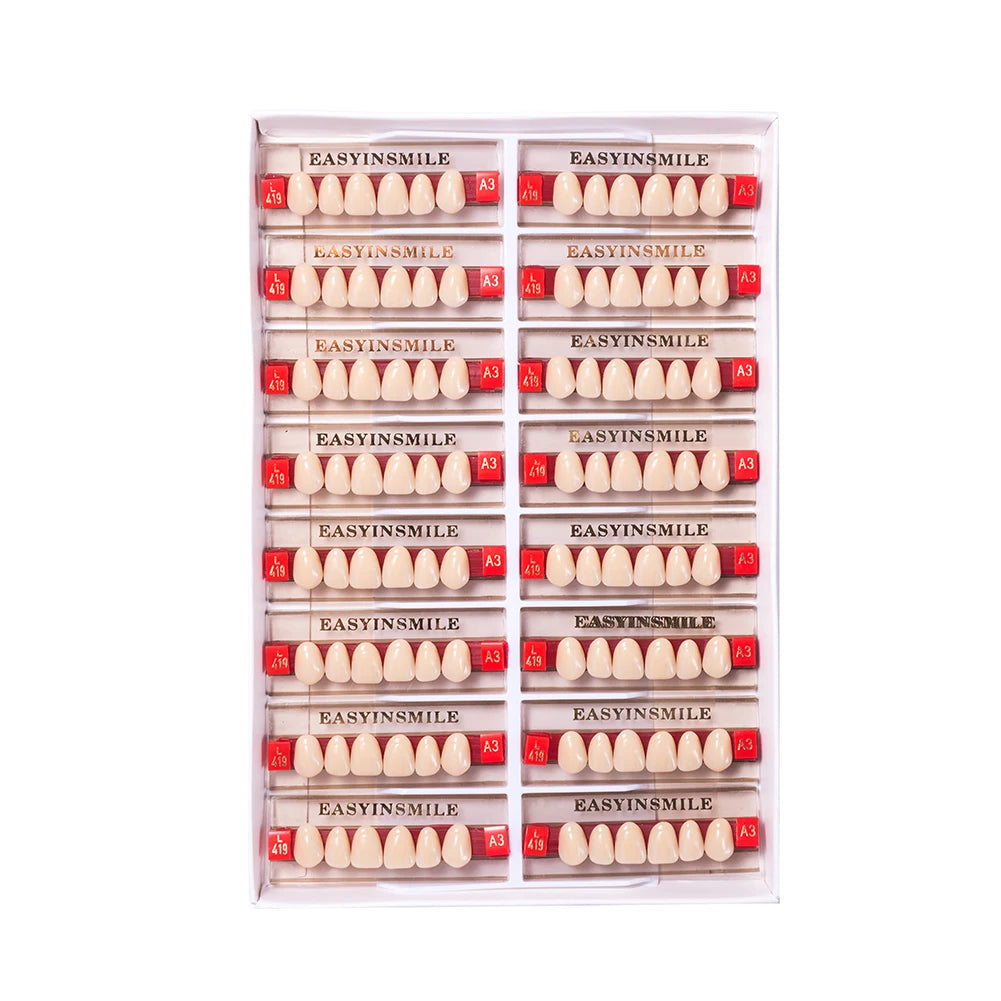 16/12 Sets/ Box Dental Teeth Anterior Posterior Polymer Denture acrylic Tooth A2 A3 2 Layers Dentistry Materials Education Model