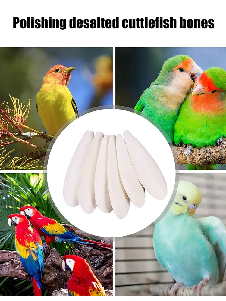 Cuttlefish Bone Natural Cuttlebone Parrot Chew Toys Parrot Calcium Supplements for Bird Cockatiel Parakeet Parrot