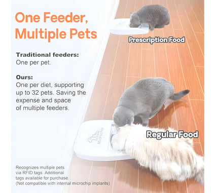 NEW Smart Microchip RFID Pet Feeder Bowl For Cats Dog And Multi Pets Homes Intelligent Automatic Timed Cat Food Dispenser
