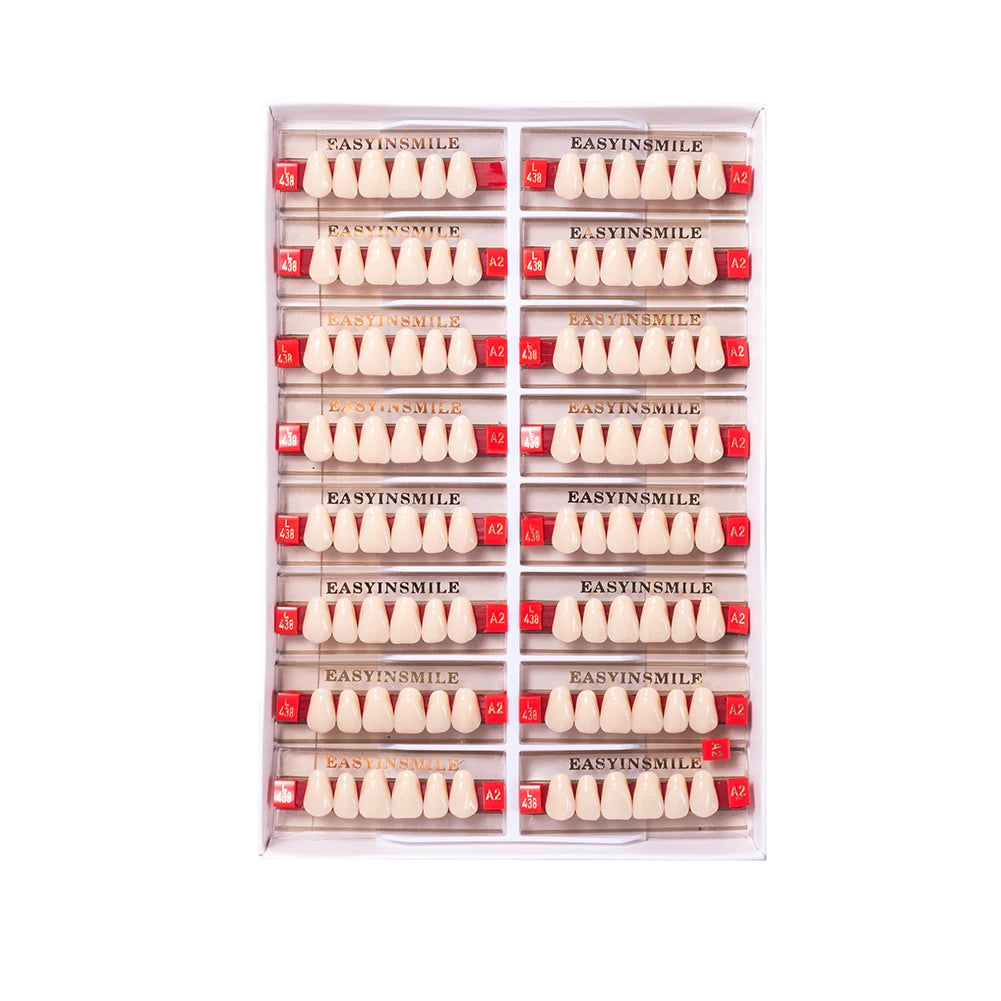 16/12 Sets/ Box Dental Teeth Anterior Posterior Polymer Denture acrylic Tooth A2 A3 2 Layers Dentistry Materials Education Model