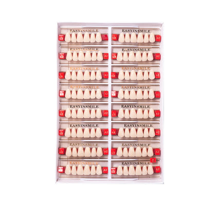 16/12 Sets/ Box Dental Teeth Anterior Posterior Polymer Denture acrylic Tooth A2 A3 2 Layers Dentistry Materials Education Model