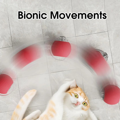 Interactive Cat Ball Toys Active Rolling Ball for Cats Smart Interactive Cat Toys Electric Cat Toy Ball Rechargeable Pet Toys