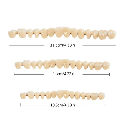 3size Universal Resin False Teeth Resin Model Durable Dentures Dental Material Teeth Teaching Model Dedicated Teeth