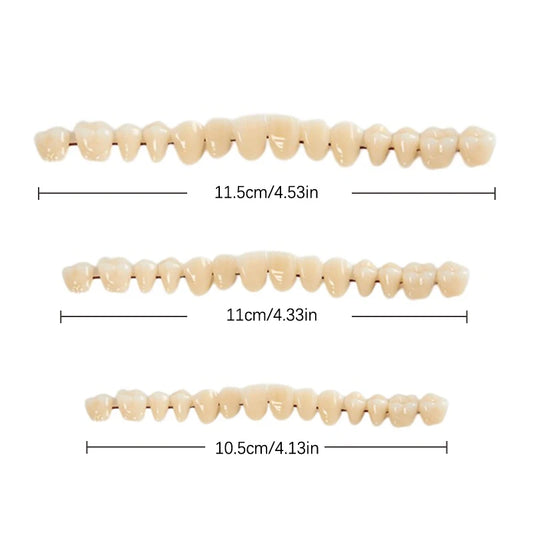 3size Universal Resin False Teeth Resin Model Durable Dentures Dental Material Teeth Teaching Model Dedicated Teeth