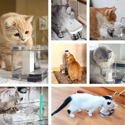 Cat Water Fountain Drinker 1.5L Auto Filter Transparent Water Dispenser Electric Mute Recirculate Filtering Drinker for Cats Pet