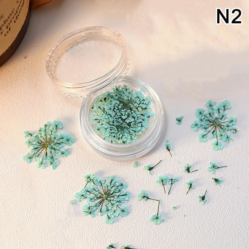 1 Box Nail Art Flower Decoration Delicate Dried Flower Nail Art Decorations Exquisite Nail Art Beauty For Charms Accessories