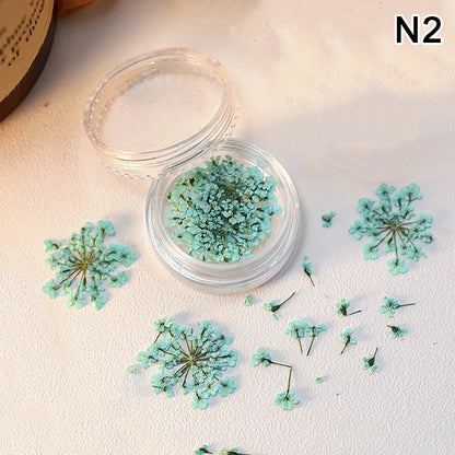 1 Box Nail Art Flower Decoration Delicate Dried Flower Nail Art Decorations Exquisite Nail Art Beauty For Charms Accessories