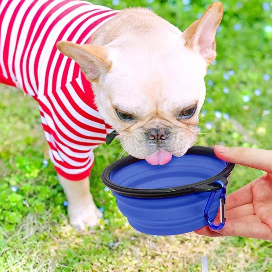 1PC Collapsible Portable Dog Food Bowl, Suitable for Outdoor Drinking Water Travel Supplies Dog Food Bowl