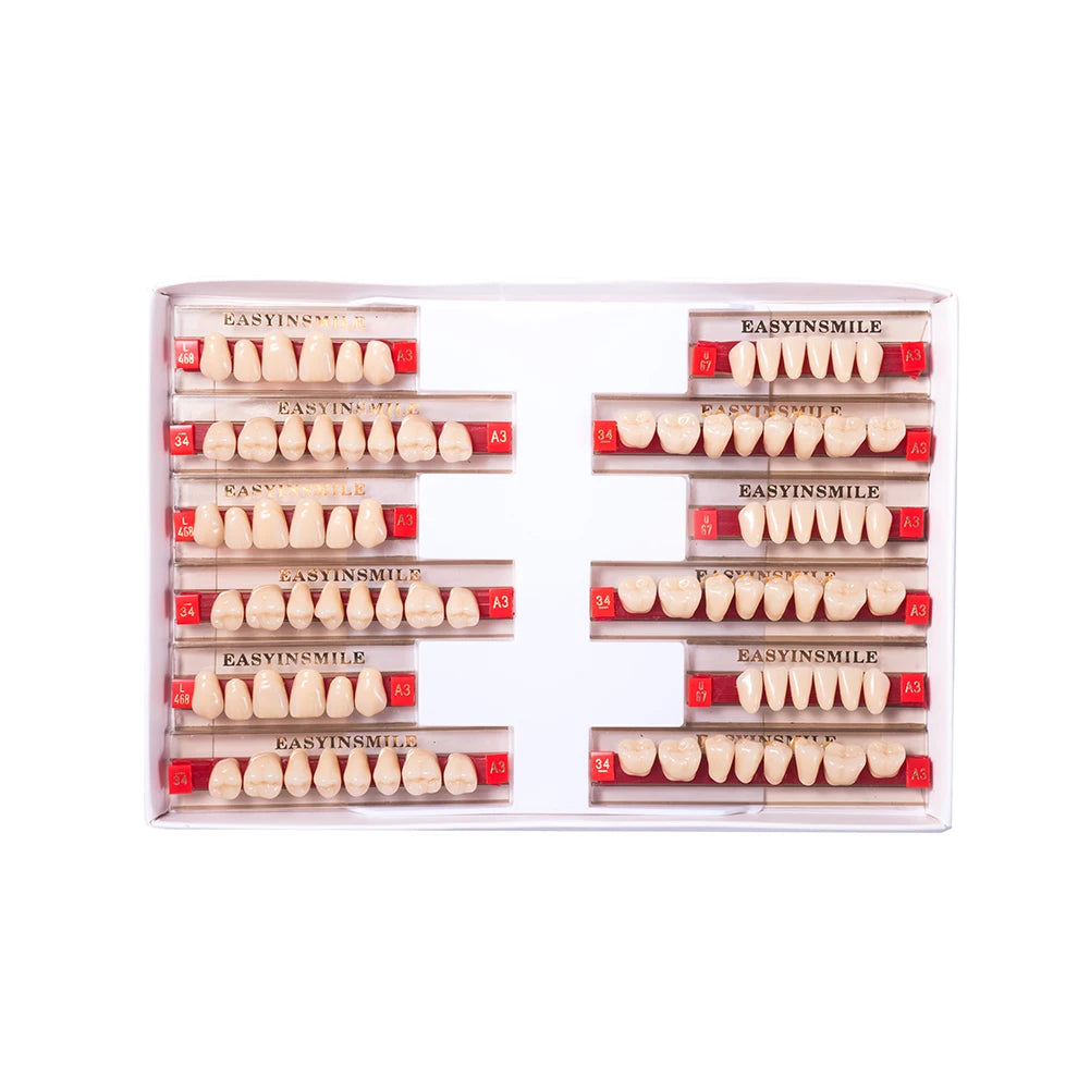 16/12 Sets/ Box Dental Teeth Anterior Posterior Polymer Denture acrylic Tooth A2 A3 2 Layers Dentistry Materials Education Model