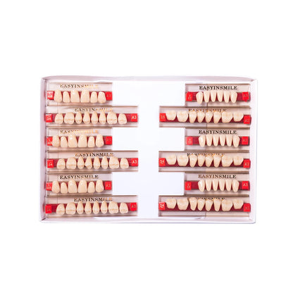 16/12 Sets/ Box Dental Teeth Anterior Posterior Polymer Denture acrylic Tooth A2 A3 2 Layers Dentistry Materials Education Model