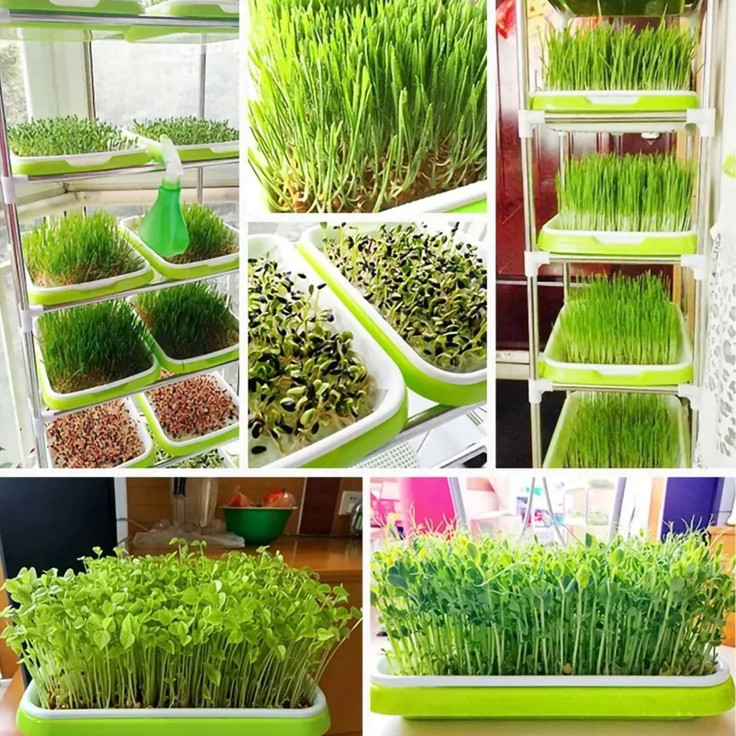 Microgreens Sprouter Tray Hydroponic / Sprouting Tray For Sprouts Vegetable Horticultural Garden DIY Nursery Potted