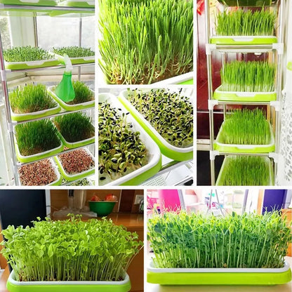Microgreens Sprouter Tray Hydroponic / Sprouting Tray For Sprouts Vegetable Horticultural Garden DIY Nursery Potted