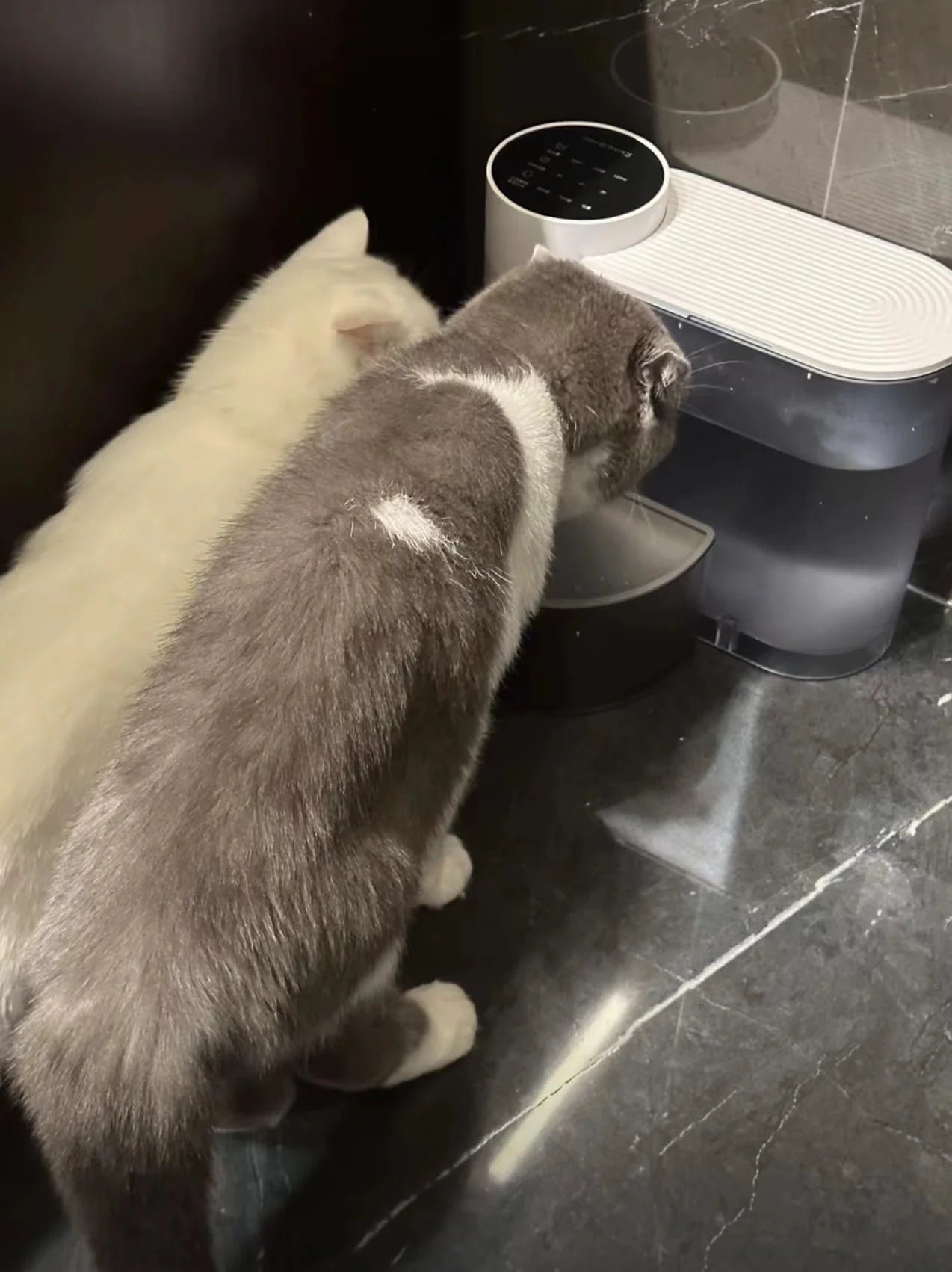 Pet water dispenser, dog and cat water dispenser, dumping cat water dispenser, running water charging automatic water feeder
