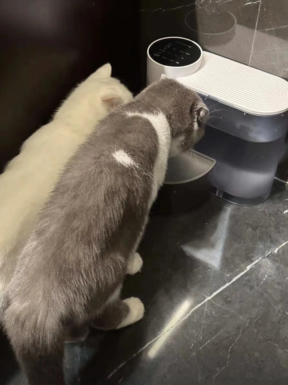 Pet water dispenser, dog and cat water dispenser, dumping cat water dispenser, running water charging automatic water feeder