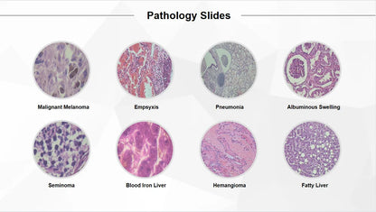 50 Pieces Set School Supplies Microscope Mixed Histology Prepared Slides for Educational Student