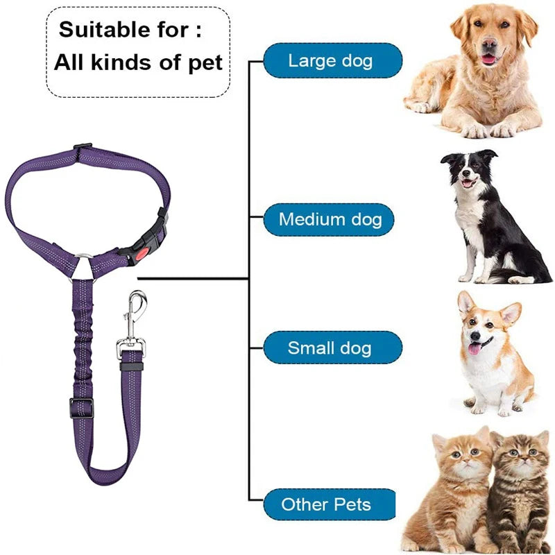 New Solid Two-in-one Dog Harness Leash Pet Car Seat Belt BackSeat Safety Belt Adjustable for Kitten Dogs Collar Pet Accessories
