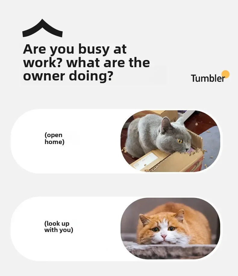 Interactive Dog Toys Rechargeable Pet Interactive Toys Electric Cats Ball  Automatic Rolling Fake Tail Ball Dog  Cats Toy