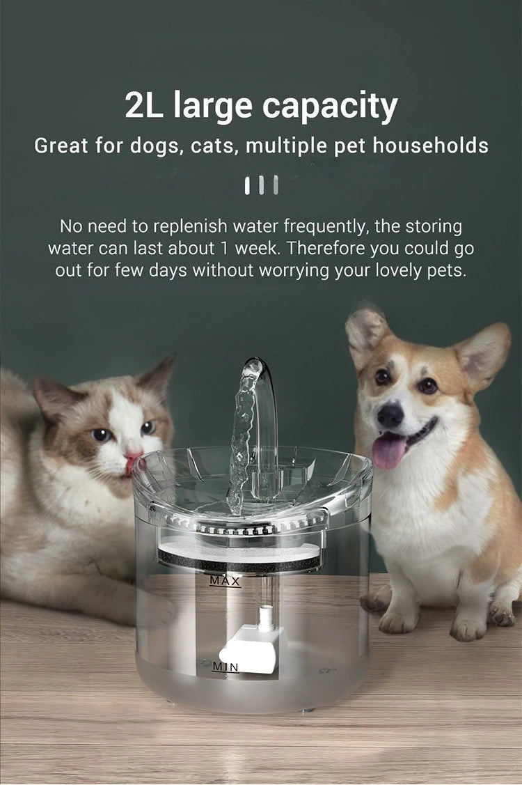 Auto Smart Cat Water Fountain Quiet Tilted Design Energy Efficient Pet Drinker for Fresh Water Circulation