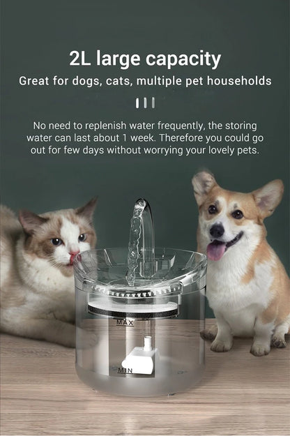 Auto Smart Cat Water Fountain Quiet Tilted Design Energy Efficient Pet Drinker for Fresh Water Circulation