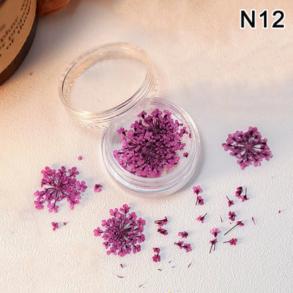1 Box Nail Art Flower Decoration Delicate Dried Flower Nail Art Decorations Exquisite Nail Art Beauty For Charms Accessories