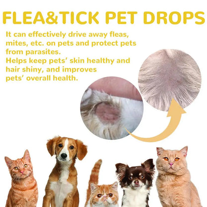 1ml Pet External Drops Tick Spray Fast-Acting Lice Remove Anti Flea Drops Tick Liquid Long Lasting Natural Pet Care Spray