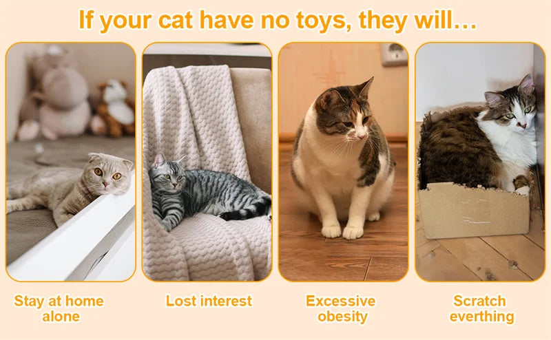 Interactive Cat Toy Puzzle Box Wooden Treat Maze Play For Toy Box Fun Interactive Cat Toy Hide and Seek Cat Agility Toys