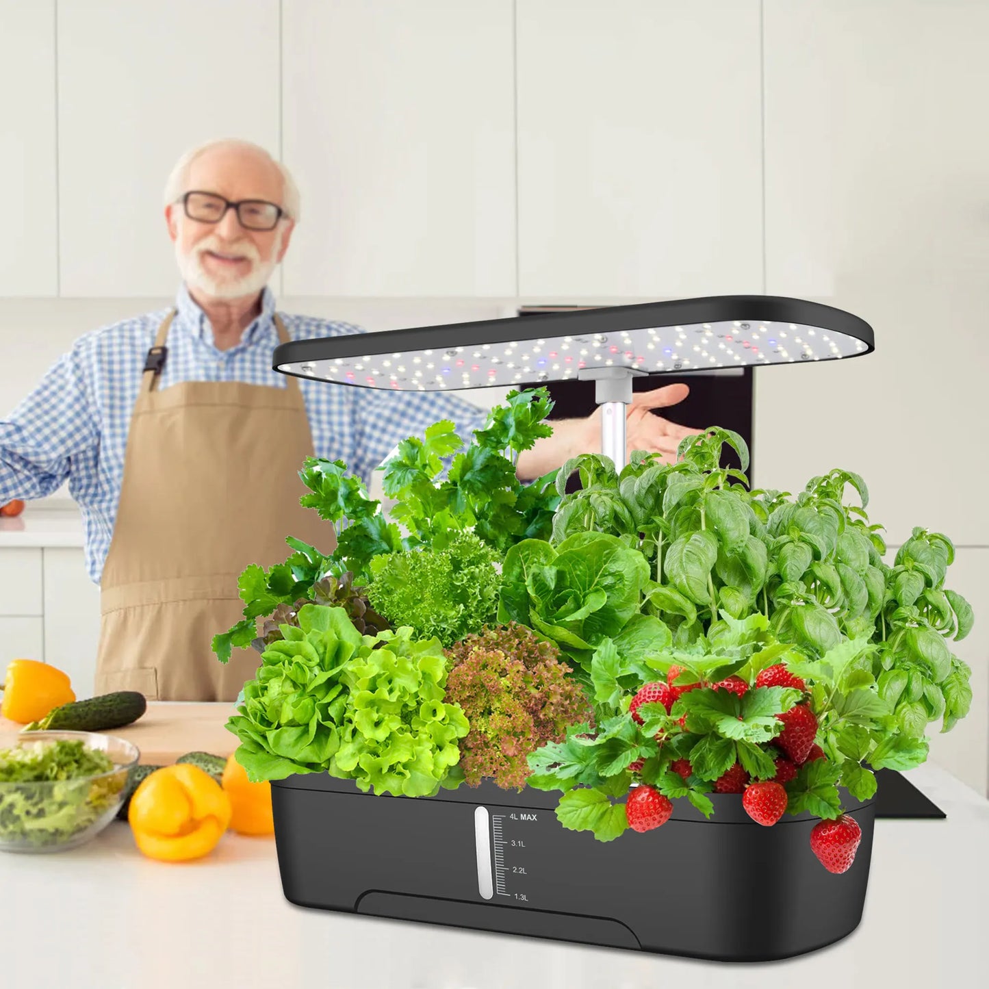 Smart Indoor Hydroponic Garden With 12 Pods, 24W LED Grow Light, Automatic Watering System For Herbs Vegetables Flower Growing