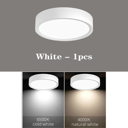 LED Ceiling Light 5W 10W 15W 18W 24W Surface Mounted Downlight Ceiling Lamp for Living Room Kitchen 220V Spotlight Panel Lights