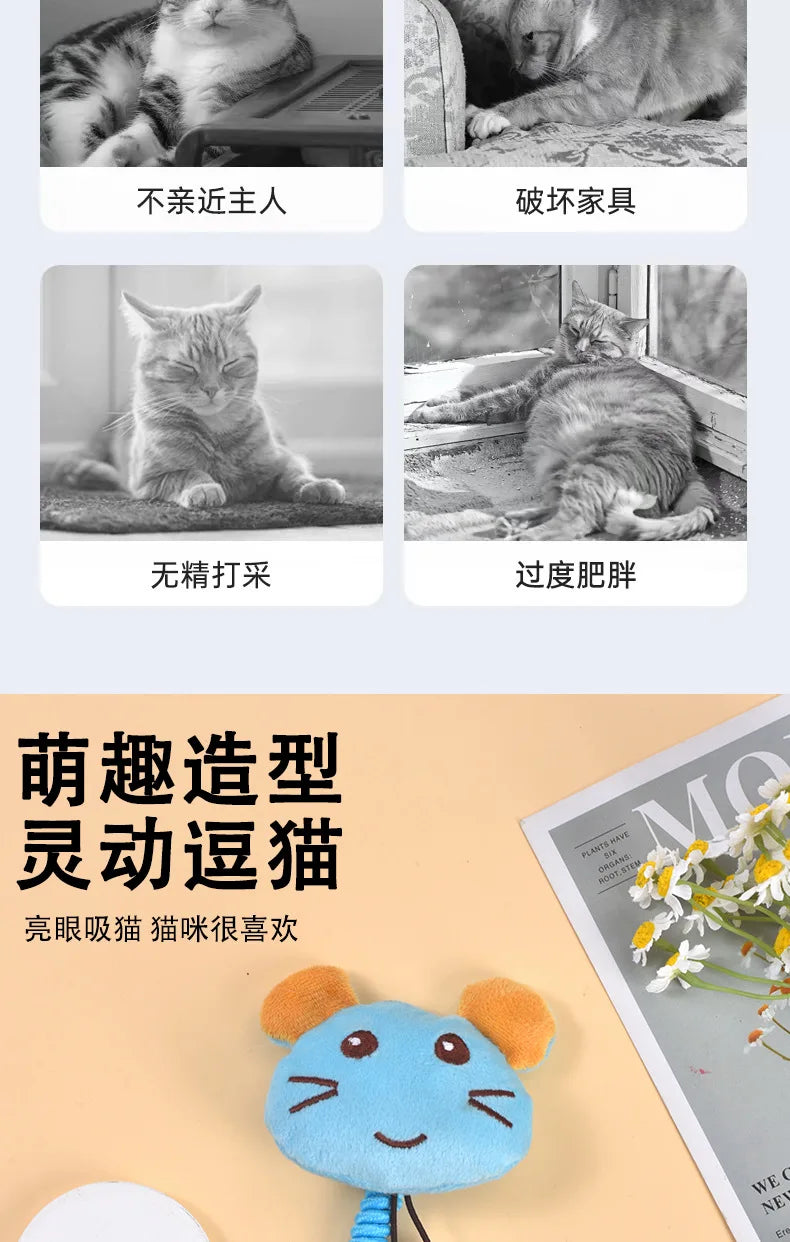 Interactive cat toy, fruit, spring, crocodile, Tiger, avocado, to relieve boredom toy