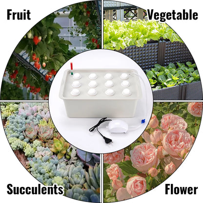 12 Holes Plant Site Hydroponic Garden Pots Planter System Cabinet Box Grow Kit Bubble Nursery Pot Indoor Outdoor Cultivation Box