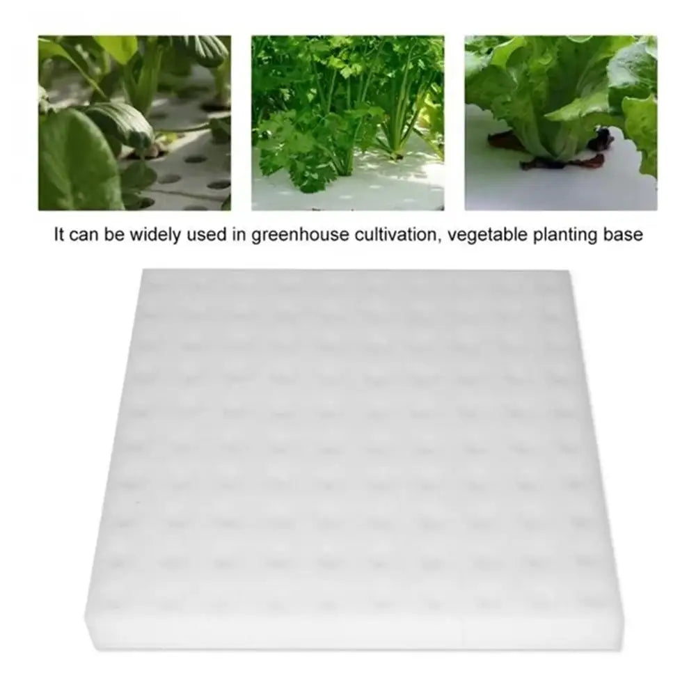 100 Hole/sheet Hydroponic Plant Sponge Garden Cultivation Seedling Soilless Culture Planting Tools Vegetables Nursery Pots Tray