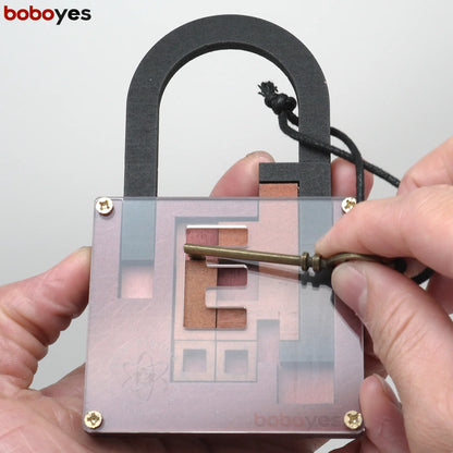 High Difficulty Level IQ Lock Puzzle Classic Wooden Brainteaser Puzzles Game for Adults The Einstein Collection Lock Puzzle