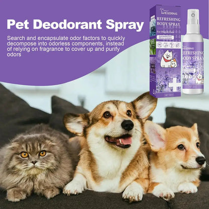 Lavender Oil Dog Deodorizer Spray Deodorizing Perfume Remove Odor 50ml Pet Deodorant Spray Pet Supplies for Smelly Dogs